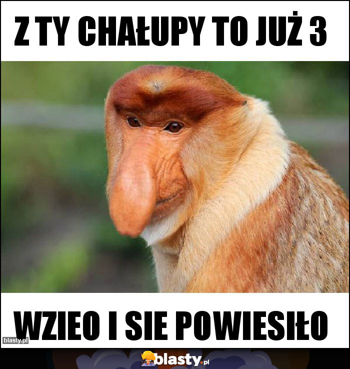 Z ty chałupy to już 3