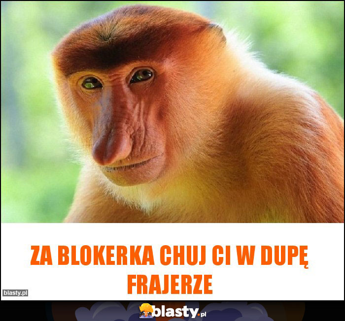 Za blokerka chuj Ci w dupę Frajerze