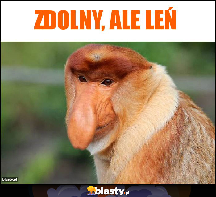 Zdolny, ale leń