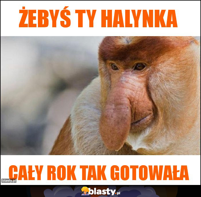 Żebyś ty Halynka