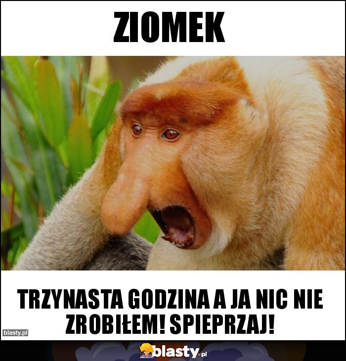 ZIOMEK