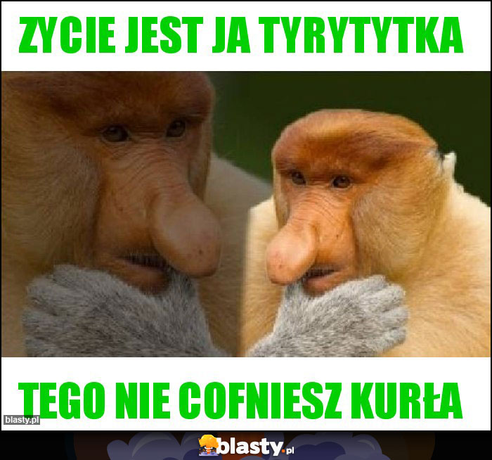 Zycie jest ja tyrytytka