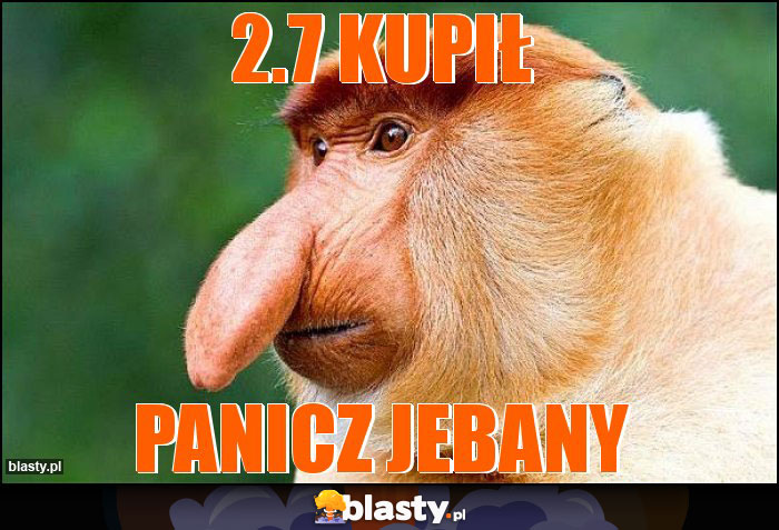 2.7 KUPIŁ