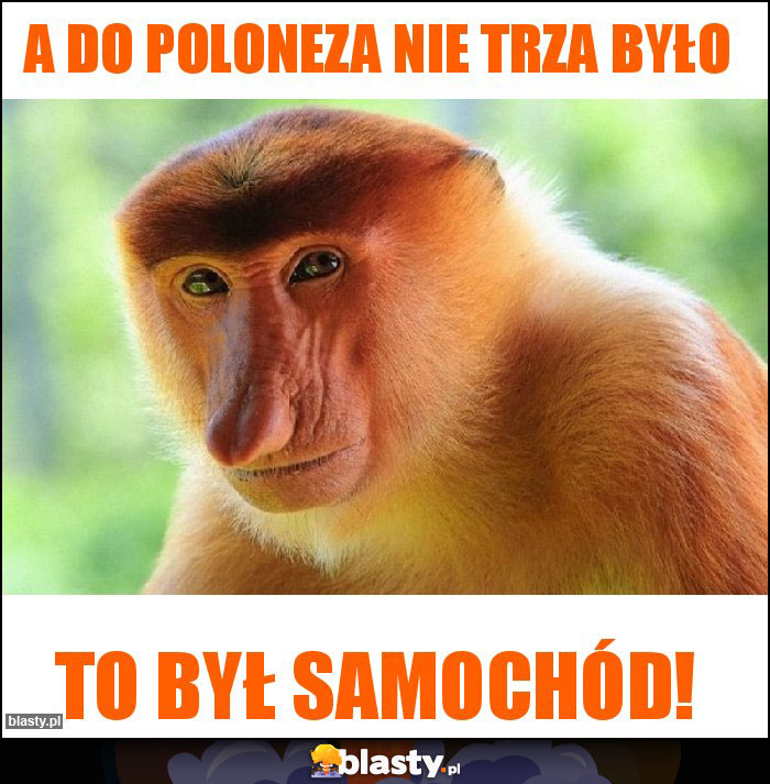 A do poloneza nie trza było