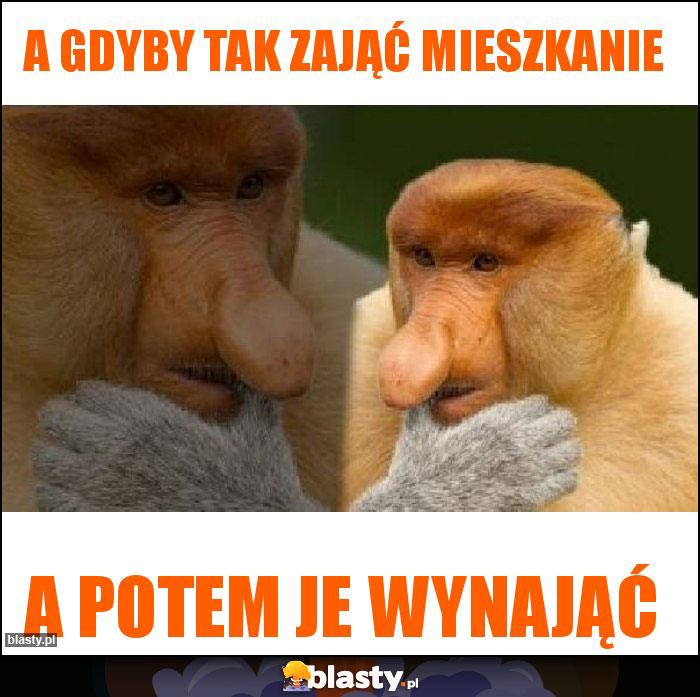 A gdyby tak zająć mieszkanie