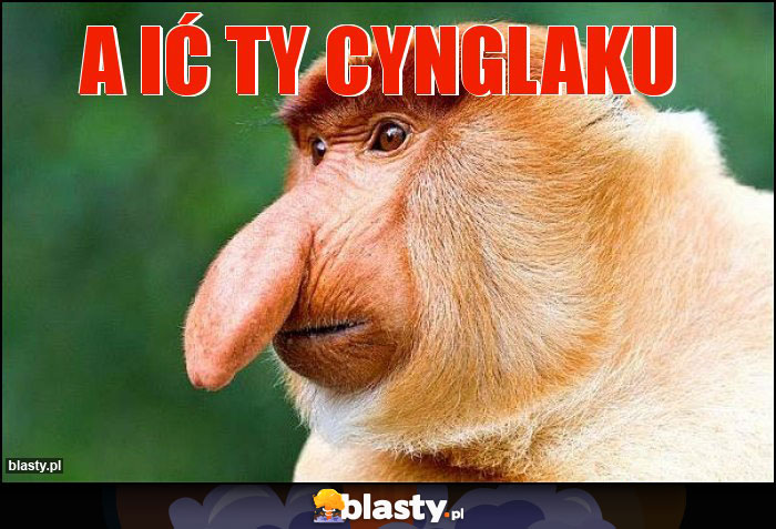 A IĆ TY CYNGLAKU