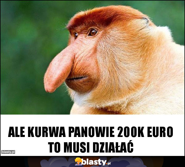 ale kurwa panowie 200k euro to musi działać