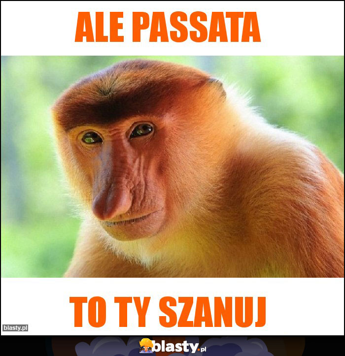 ALE PASSATA