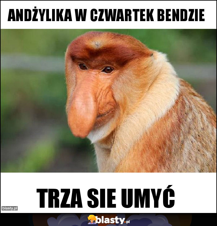 Andżylika w czwartek bendzie