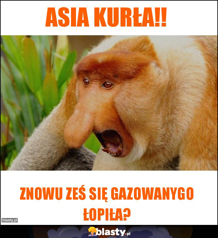 Asia kurła!!