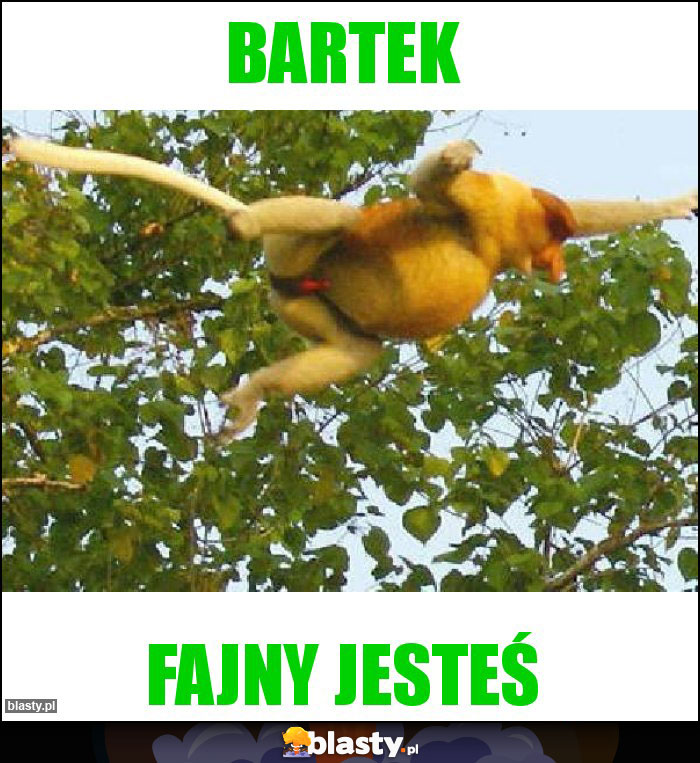 Bartek