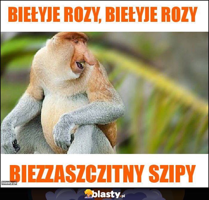 BIEŁYJE ROZY, BIEŁYJE ROZY