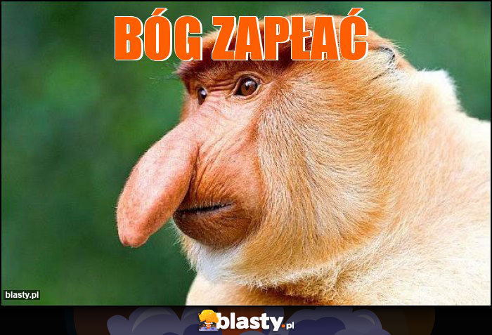 Bóg zapłać