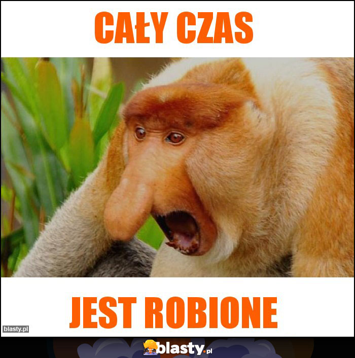 Cały czas