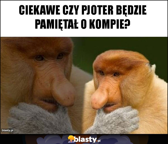 Ciekawe czy pjoter będzie pamiętał o kompie?