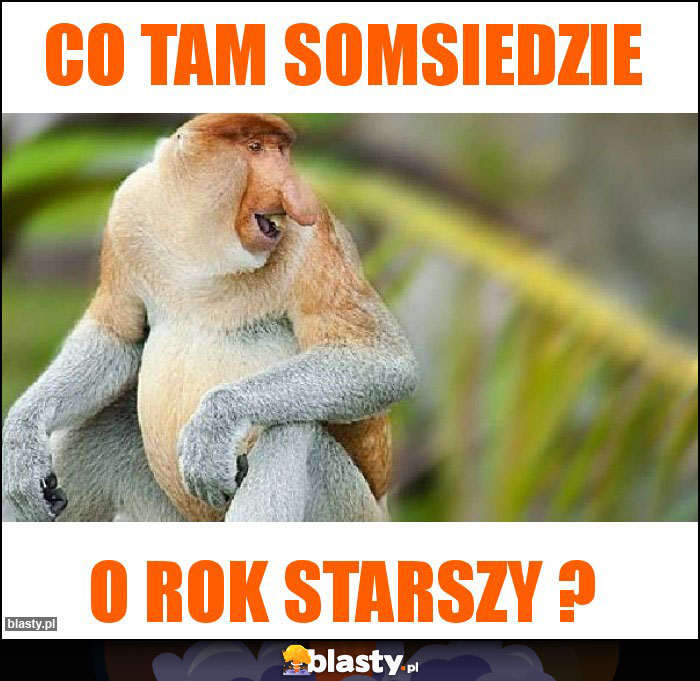 CO TAM SOMSIEDZIE