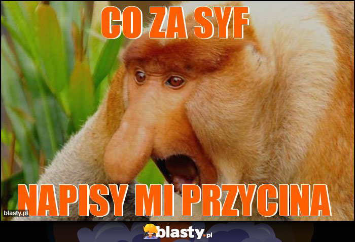 co za syf