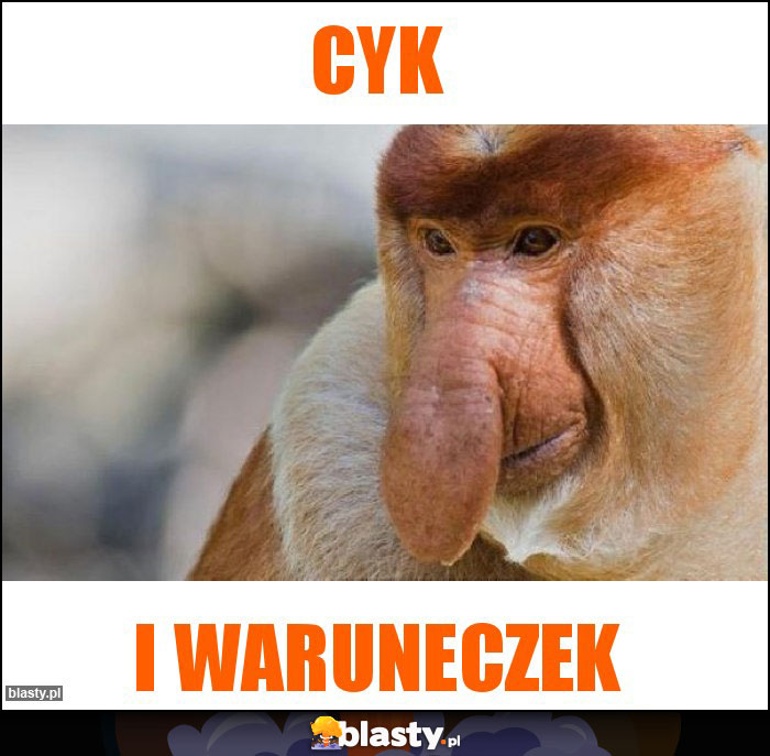 Cyk