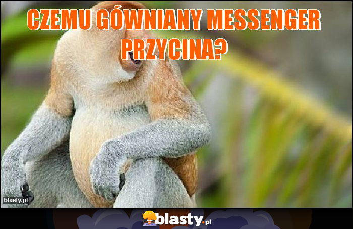 czemu gówniany messenger przycina?