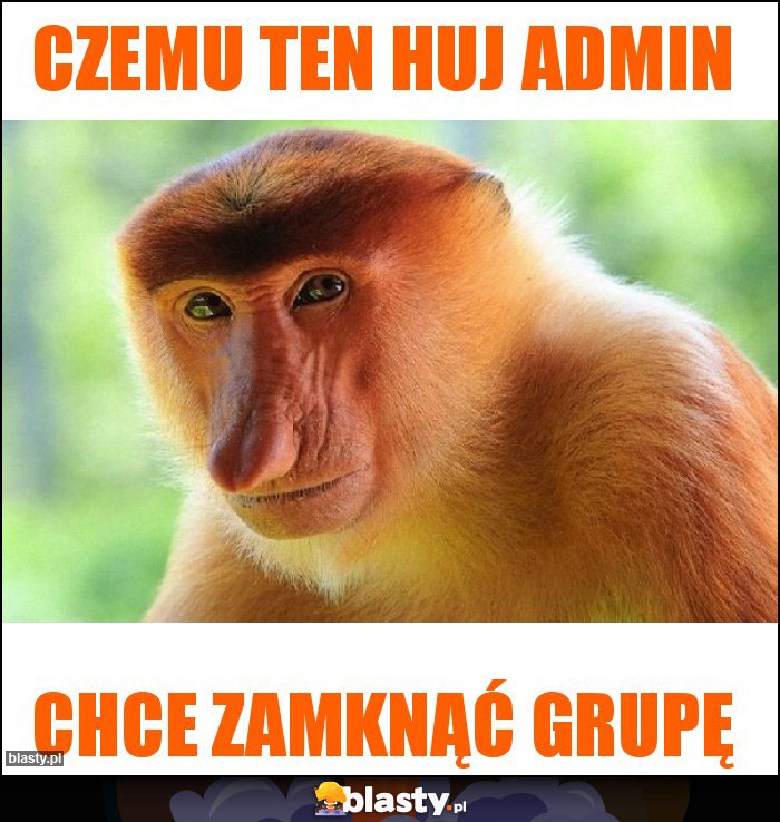 Czemu ten huj admin