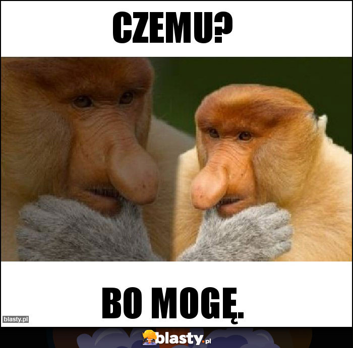 Czemu?