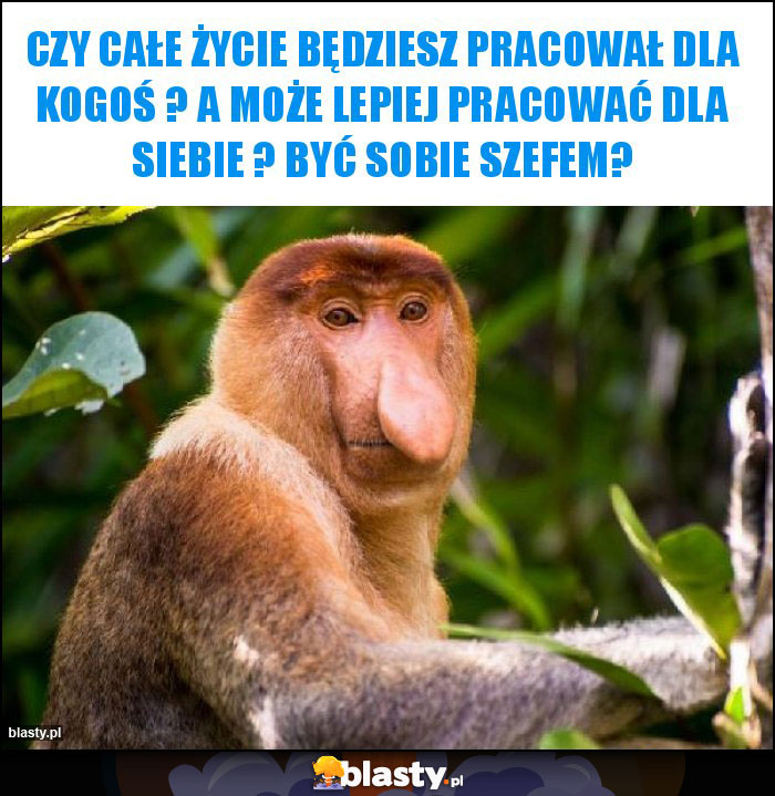 Czy całe życie będziesz pracował dla kogoś ? A może lepiej pracować dla siebie ? Być sobie szefem?