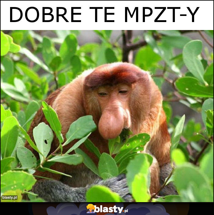 dobre te MPZT-y