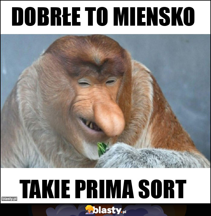 Dobrłe to miensko