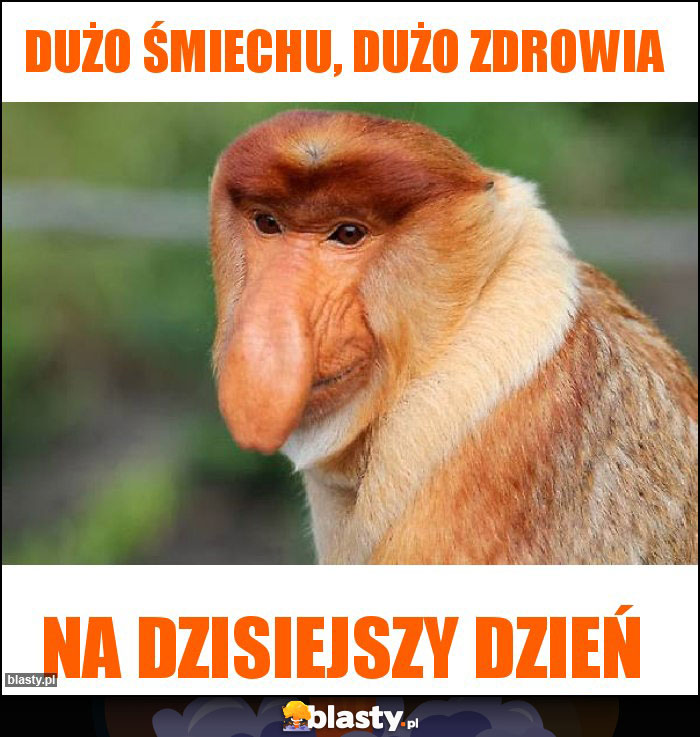 Dużo śmiechu, dużo zdrowia