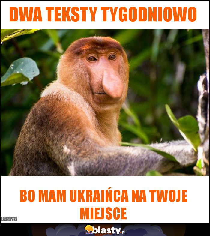 Dwa teksty tygodniowo