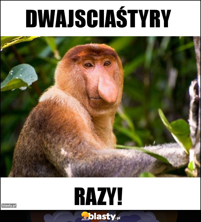 Dwajsciaśtyry