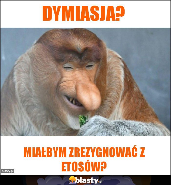 dymiasja?