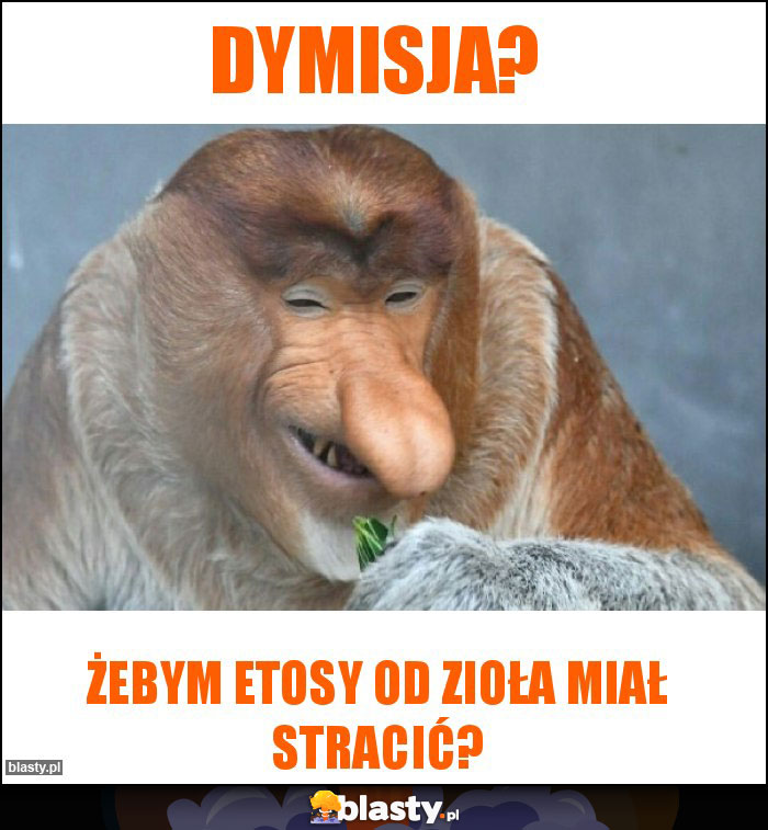 Dymisja?