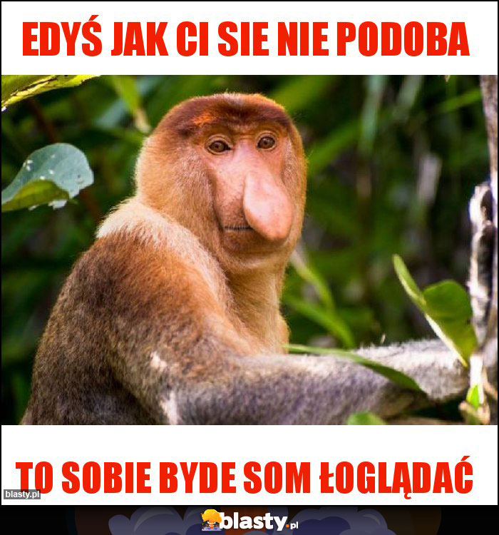 Edyś jak Ci sie nie podoba