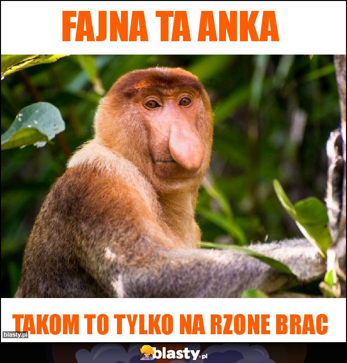 Fajna ta anka