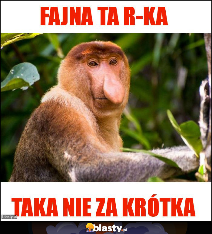 FAJNA TA R-KA