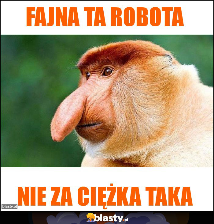 FAJNA TA ROBOTA