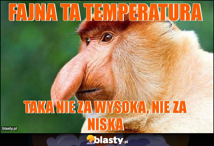 Fajna ta temperatura