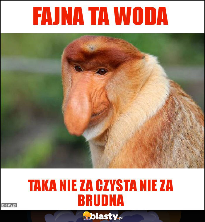 fajna ta woda