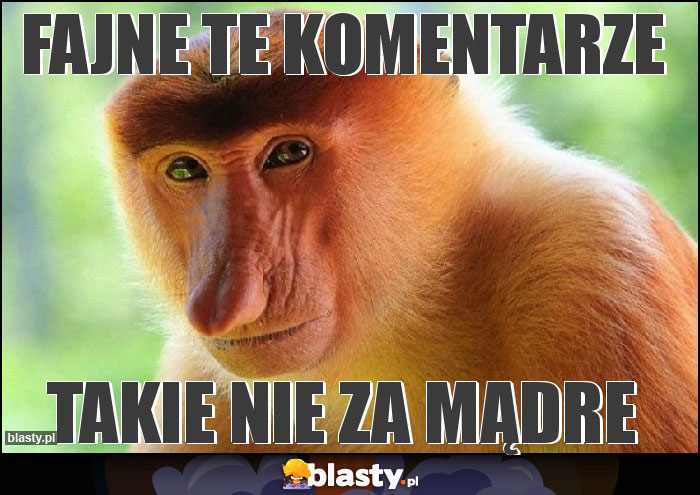 Fajne te komentarze