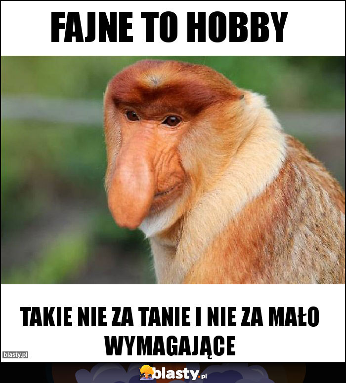 fajne to hobby