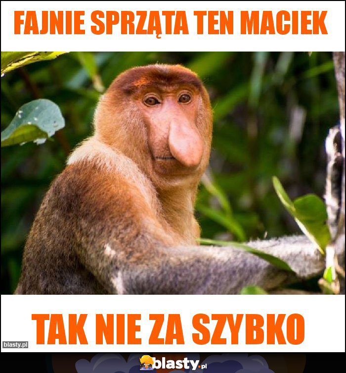 Fajnie sprząta ten Maciek