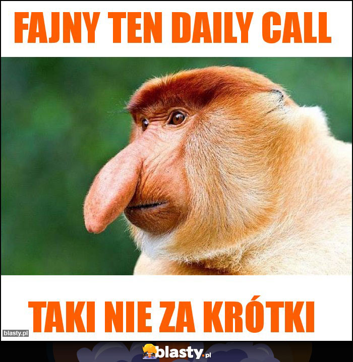 Fajny ten daily CALL