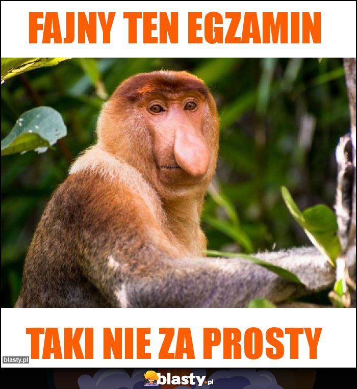 Fajny ten egzamin