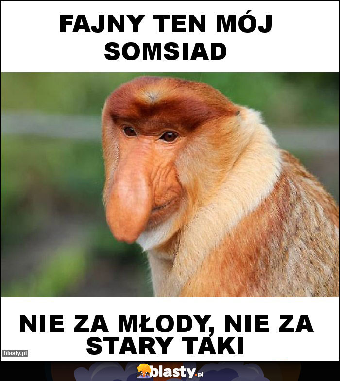 FAJNY TEN MÓJ SOMSIAD