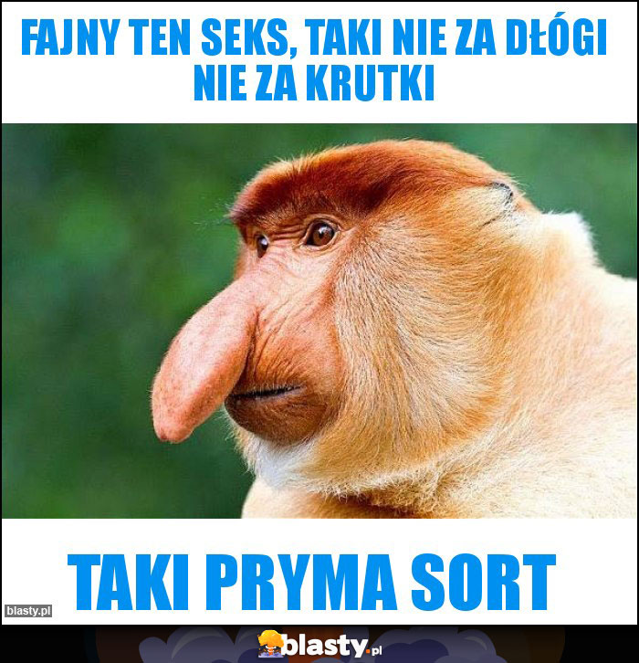 FAJNY TEN SEKS, TAKI NIE ZA DŁÓGI NIE ZA KRUTKI