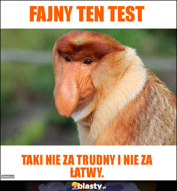 Fajny ten test