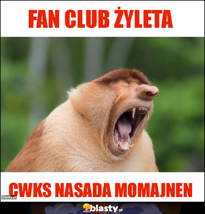 Fan club żyleta