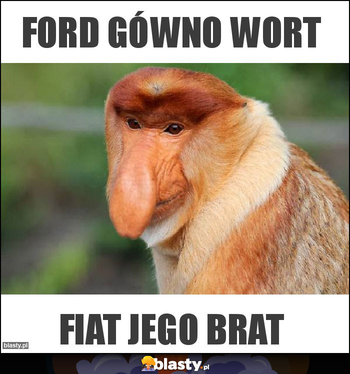 FORD GÓWNO WORT