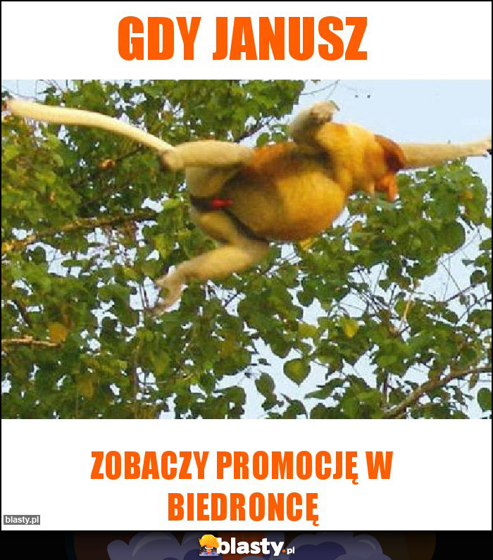 gdy Janusz